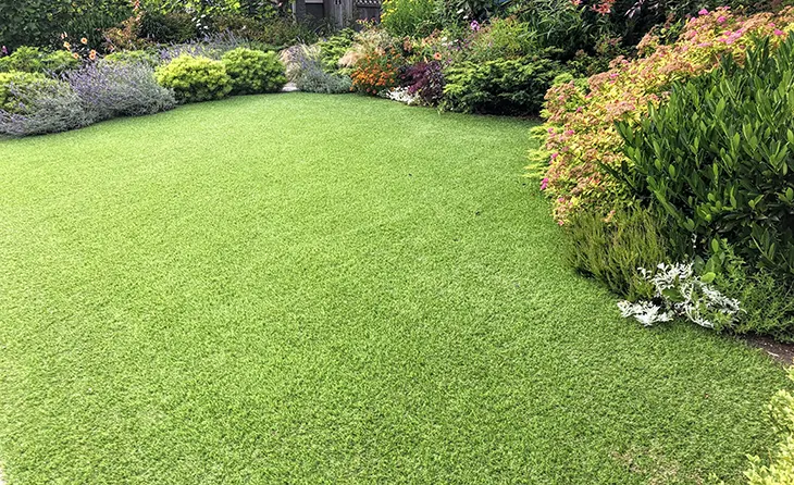 synthetic-grass-installation